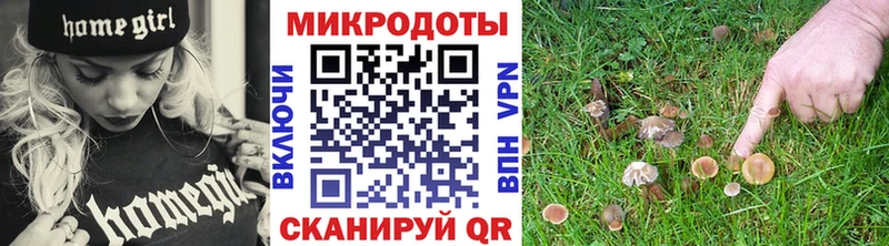 цена Томилино hydra зеркало Псилоцибиновые грибы GOLDEN TEACHER
